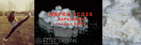 прущие грибы Кулебаки
