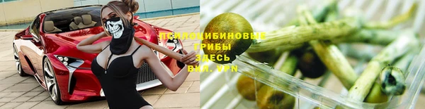 ГАЛЛЮЦИНОГЕННЫЕ ГРИБЫ Кукмор
