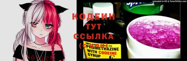 ГАЛЛЮЦИНОГЕННЫЕ ГРИБЫ Кукмор