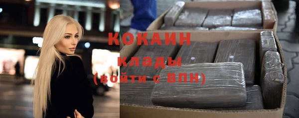 прущие грибы Кулебаки