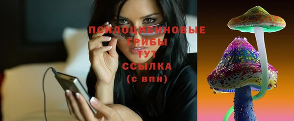 прущие грибы Кулебаки