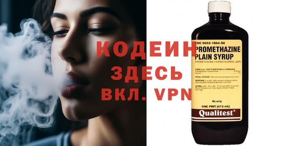 прущие грибы Кулебаки