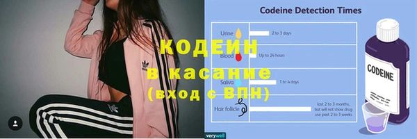 ГАЛЛЮЦИНОГЕННЫЕ ГРИБЫ Кукмор