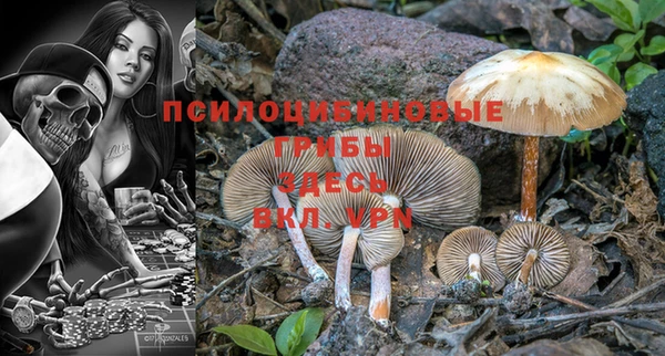 прущие грибы Кулебаки
