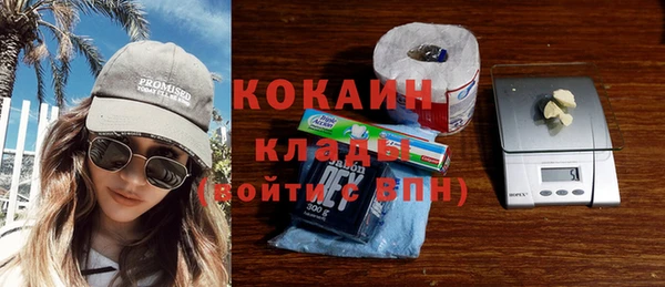 прущие грибы Кулебаки