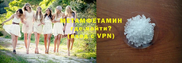 прущие грибы Кулебаки