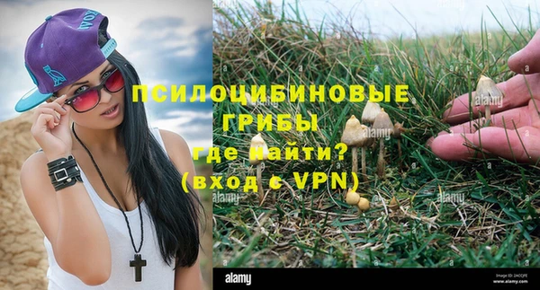 прущие грибы Кулебаки