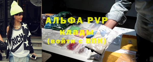 ГАЛЛЮЦИНОГЕННЫЕ ГРИБЫ Кукмор