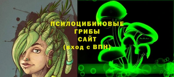 ГАЛЛЮЦИНОГЕННЫЕ ГРИБЫ Кукмор