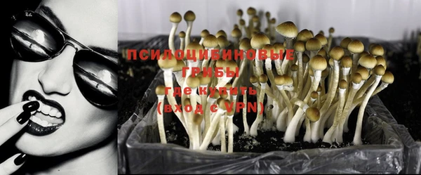 ГАЛЛЮЦИНОГЕННЫЕ ГРИБЫ Кукмор
