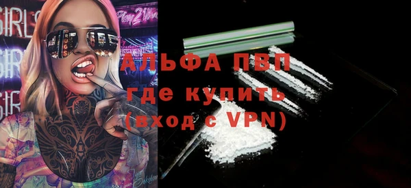 ГАЛЛЮЦИНОГЕННЫЕ ГРИБЫ Кукмор