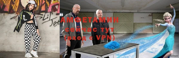 прущие грибы Кулебаки