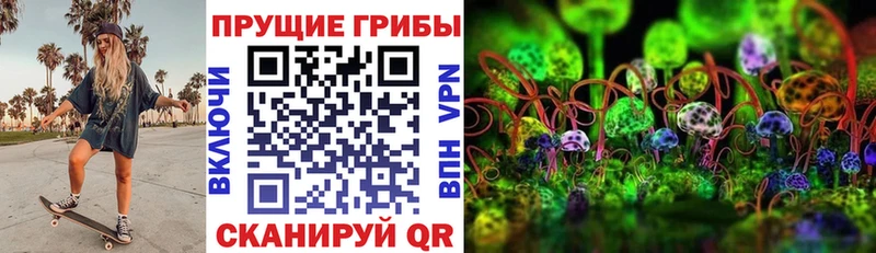 Купить закладки  Тюмень  Псилоцибиновые грибы ЛСД 